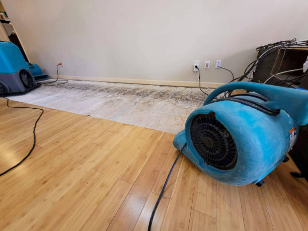 Professional Flood Damage Cleanup technician working in Wana, WV